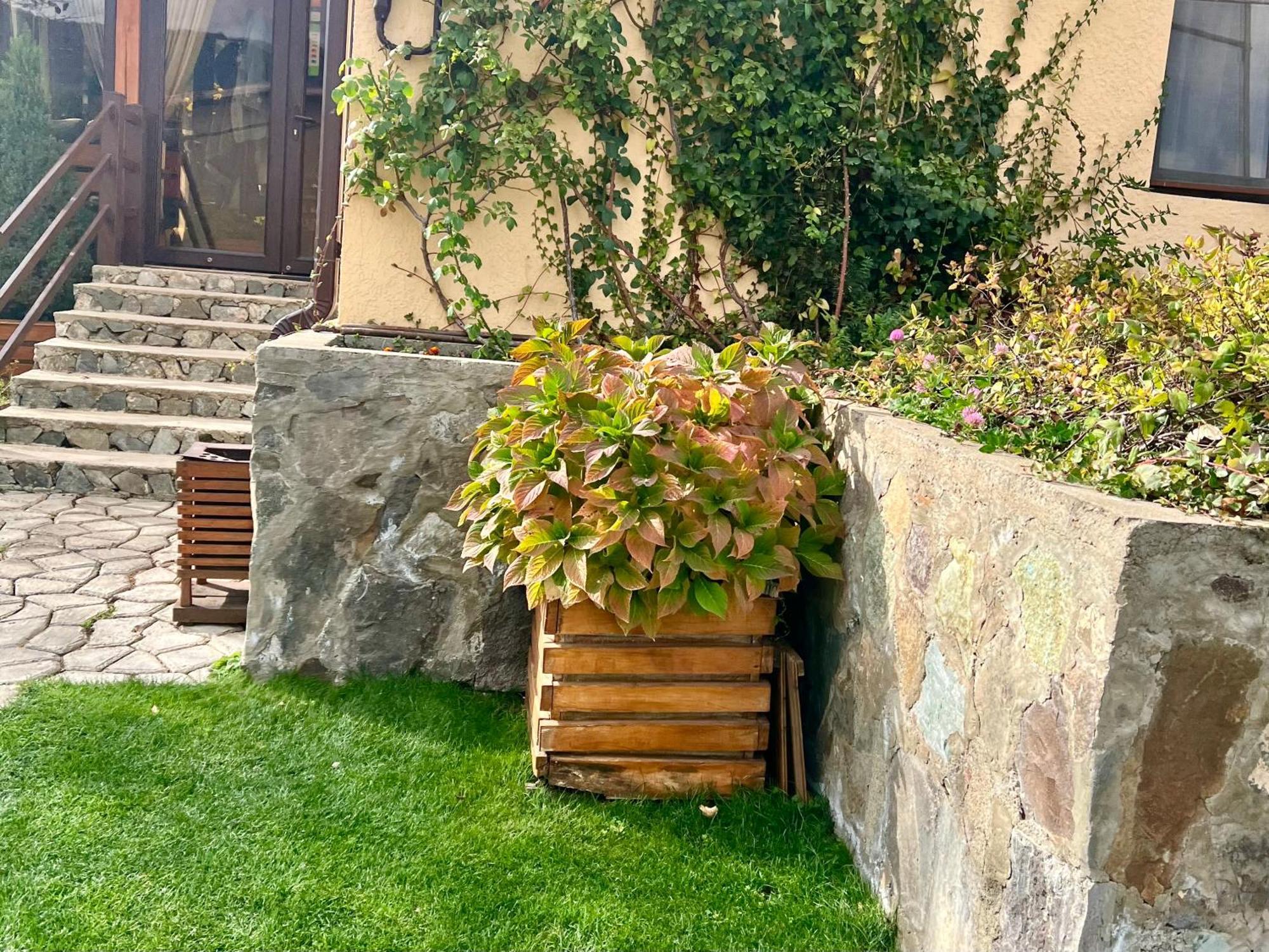 Dilivita Rest House ديليجان المظهر الخارجي الصورة